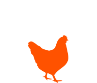 Pollo